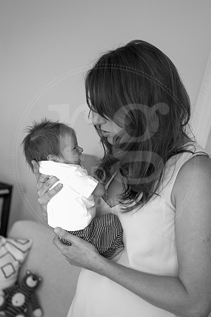Image by Linda Wild, RG Wild Photography