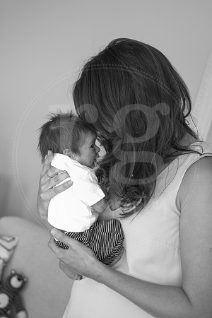 Image by Linda Wild, RG Wild Photography