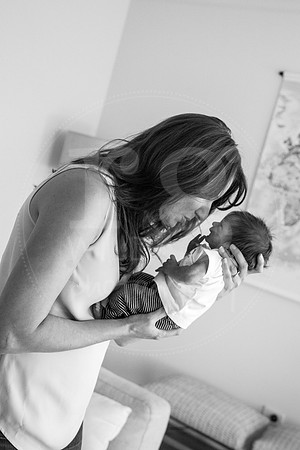 Image by Linda Wild, RG Wild Photography