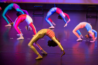 Image by Linda Wild, RG Wild Photography | PERTH