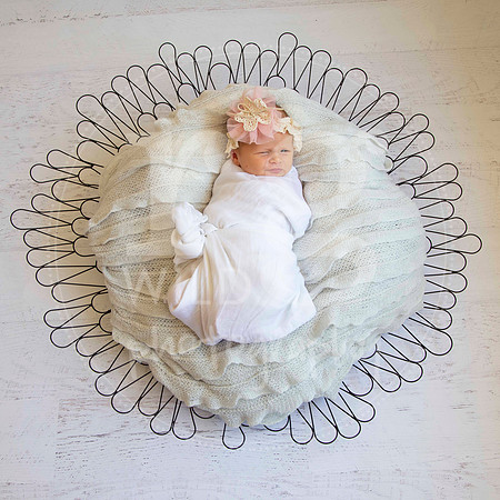 Image by Linda Wild