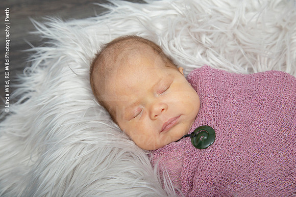 Newborn Portraits by RG Wild Photography