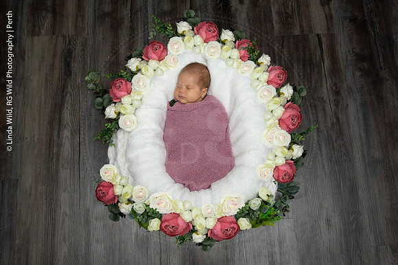 Newborn Portraits by RG Wild Photography