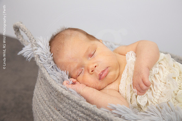Newborn Portraits by RG Wild Photography