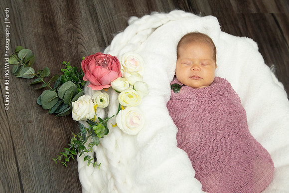 Newborn Portraits by RG Wild Photography