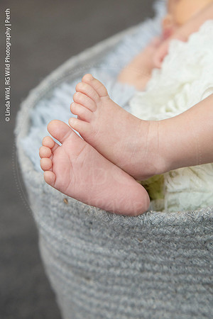 Newborn Portraits by RG Wild Photography