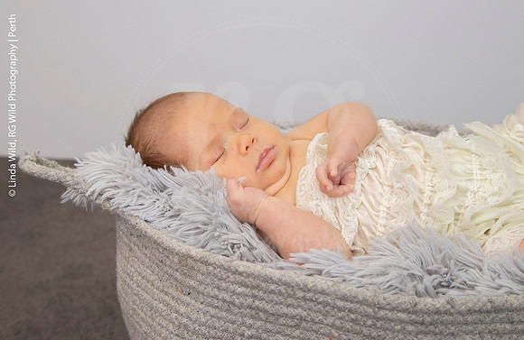 Newborn Portraits by RG Wild Photography