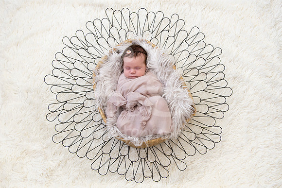 Newborn Photography by Linda Wild | PERTH