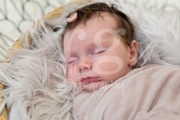 Newborn Photography by Linda Wild | PERTH