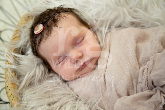 Newborn Photography by Linda Wild | PERTH