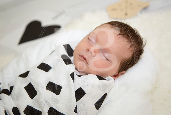 Newborn Photography by Linda Wild | PERTH