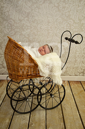 Newborn Photography by Linda Wild | PERTH