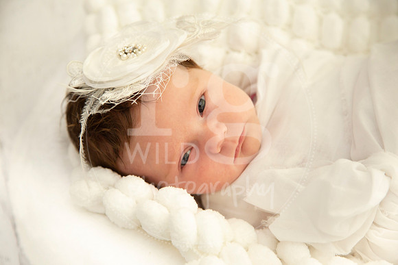 Newborn Photography by Linda Wild | PERTH