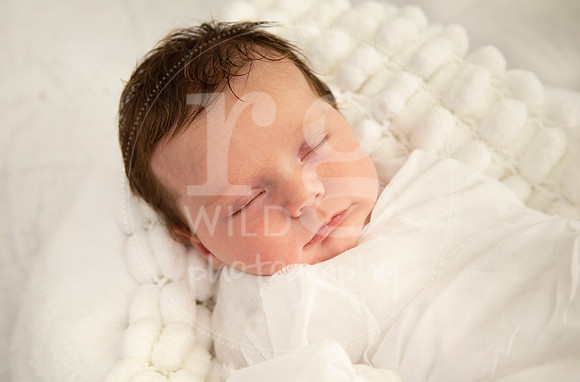 Newborn Photography by Linda Wild | PERTH