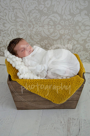 Newborn Photography by Linda Wild | PERTH