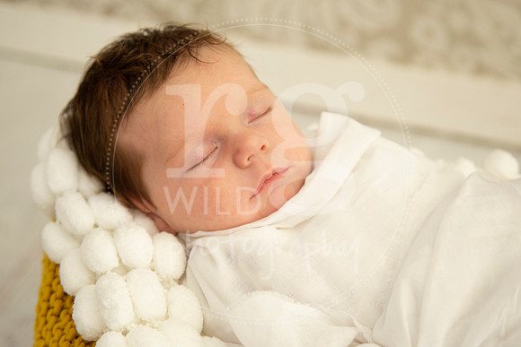 Newborn Photography by Linda Wild | PERTH