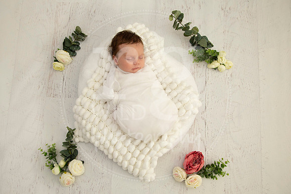 Newborn Photography by Linda Wild | PERTH
