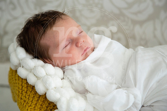 Newborn Photography by Linda Wild | PERTH