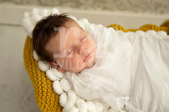 Newborn Photography by Linda Wild | PERTH