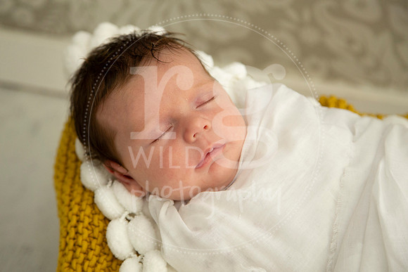 Newborn Photography by Linda Wild | PERTH