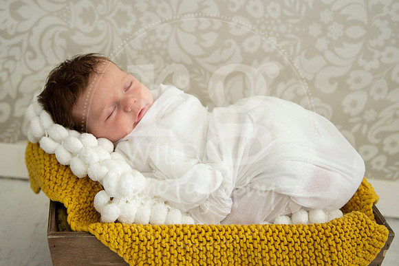 Newborn Photography by Linda Wild | PERTH