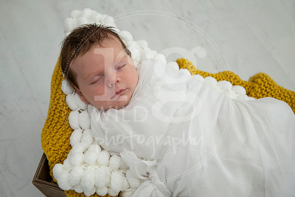 Newborn Photography by Linda Wild | PERTH