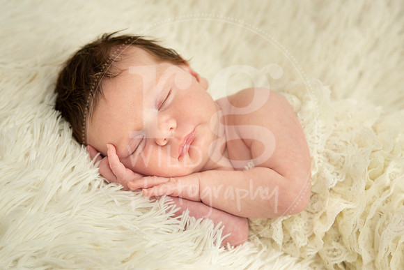 Newborn Photography by Linda Wild | PERTH