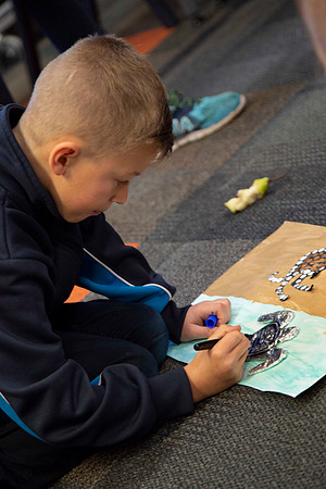 Image by Linda Wild, Alkimos PS