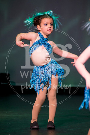 Image by Linda Wild, RG Wild Photography
