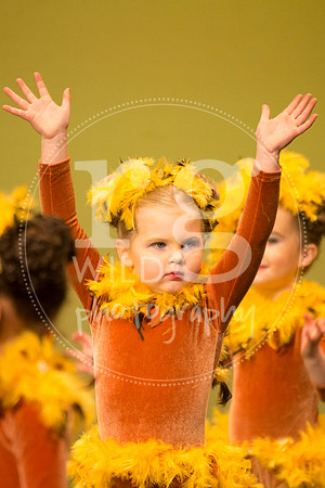 Image by Linda Wild, RG Wild Photography