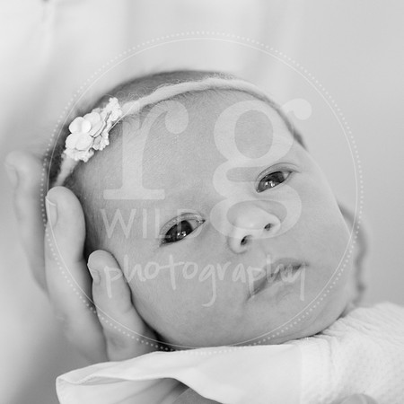 Image by Linda Wild, RG Wild Photography | PERTH