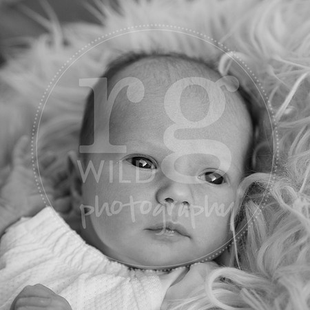 Image by Linda Wild, RG Wild Photography | PERTH