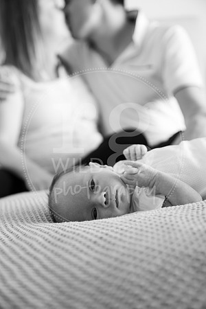 Image by Linda Wild, RG Wild Photography | PERTH