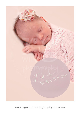 Newborn Photography | Baby Ivy