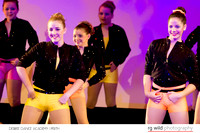 Concert Photography rg wild photography