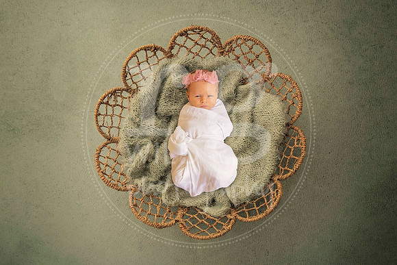 Image by Linda Wild