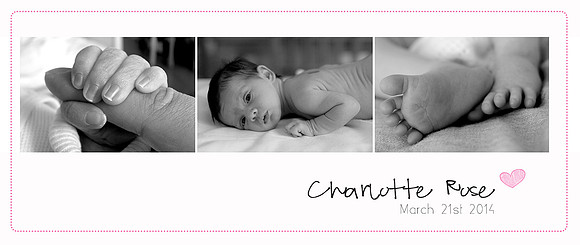 Newborn Photography | RG Wild Photography