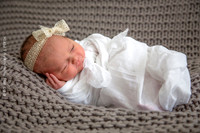 Newborn + Family Porraits