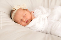 Newborn + Family Porraits
