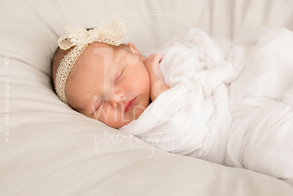 Newborn + Family Porraits