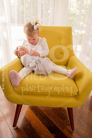 Newborn + Family Porraits