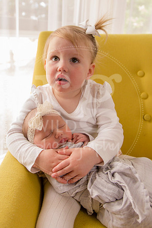 Newborn + Family Porraits