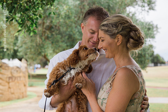 Wedding Photography by Linda Wild