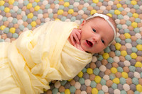 Newborn + Family Porraits