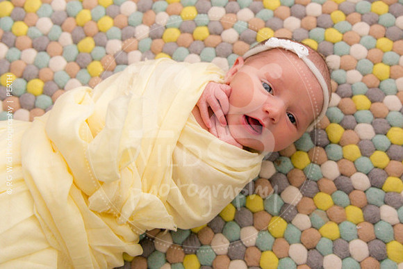 Newborn + Family Porraits
