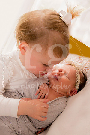 Newborn + Family Porraits
