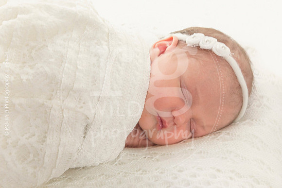 Newborn + Family Porraits