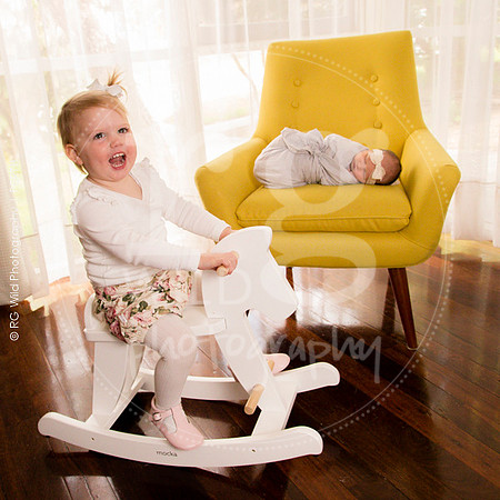 Newborn + Family Porraits