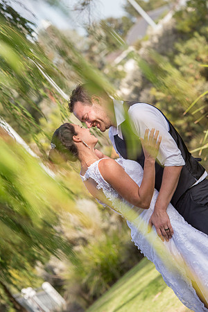 Wedding Photography by Linda Wild