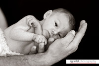 Newborn Photography | RG Wild Photography